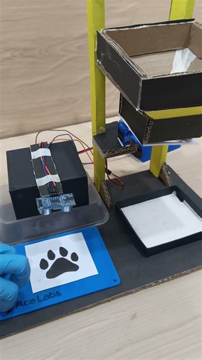 Automatic pet feeder made by using Ultrasonic Sensor and Servo Motor #automation #diy #sciencetech