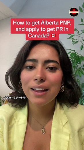 AAIP offers 3 streams for workers who have a work permit and are foreign internationals in Alberta, Canada. 1. Alberta Opportunity Stream 2. Alberta Express Entry Stream - Accelerated Tech Pathway - Designated Healthcare Pathway 3. Rural Renewal Stream Reach out to us to apply for Alberta PNP Nomination, and create a express entry profile for yourself. 3030 3 Ave NE #120, Calgary, Alberta T2A 6T7, Canada walshkenco@gmail.com info@walshkenimmigration.com Contact: 888-227-0899 Consultation charges