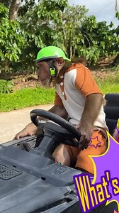 CuTis's car suddenly couldn't move | Cutis