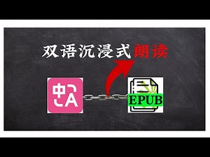 别再错过双语原版书的精髓！沉浸式翻译与Beautiful Epub Reader如何助你完美朗读？（Microsoft Edge Dev）
