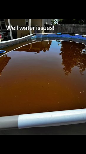 Remove Pool Rust with Citric Acid & DIY Filter