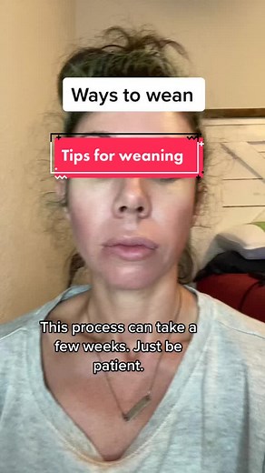 Ways to Wean Kittens Successfully