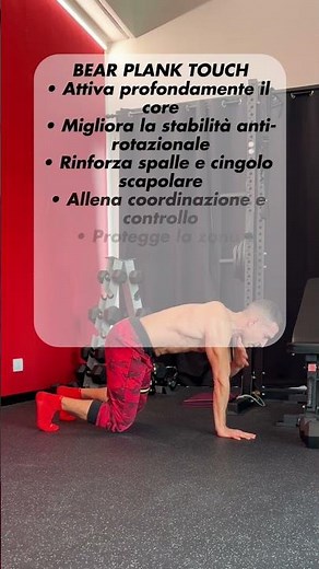 Bear Plank Touch Tutorial: Stabilizer and Abdominal Exercise