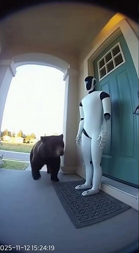 Bear Terrified by Human-Shaped Robot | Real Daytime Doorbell CCTV