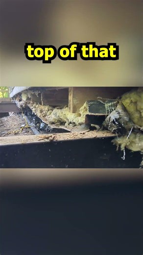 Replacing Ridge Beam Part 4 #Shorts