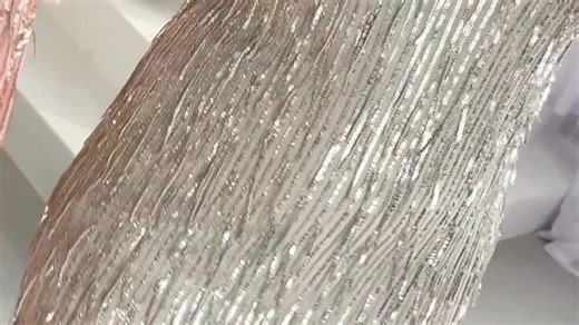 VID_20231207_091953_127.mp4