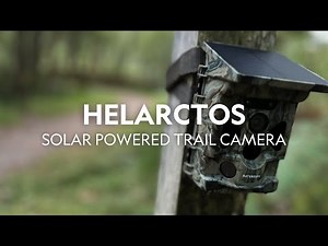 Introducing the Helarctos: Solar-Powered Trail Camera | NatureSpy