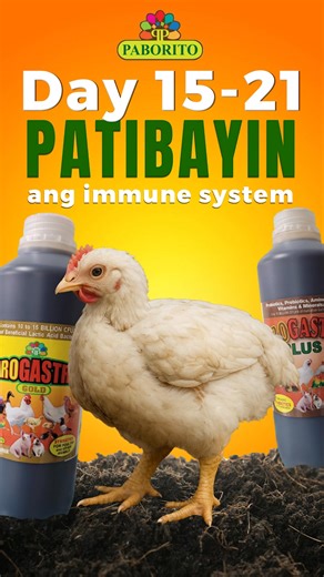 39K views · 819 reactions | Broiler Weekly Growth Guide:  Day...