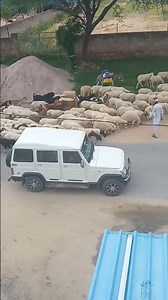 राजस्थानी सॉन्ग #trending #dance #rajasthanisong #love #mountainview #gadgets 💝❤️👍🙏🙏💕▶️