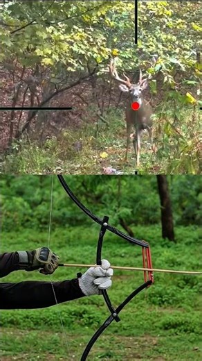 Bamboo Bow Deer Hunting | Primitive Archery Hunt | Silent & Accurate Shot