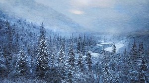 Snow, Snowfall, Winter Wonderland. Free Stock Video