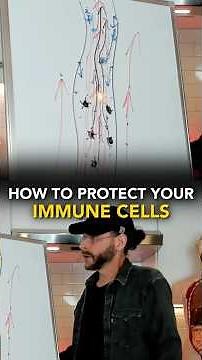 How To Protect Your Immune Cells