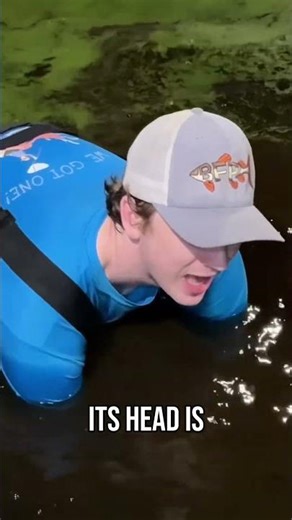 I Thought it was An Alligator... #abandoned #pond #turtle #alligator #animals