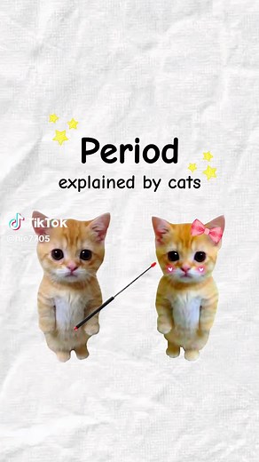 Understanding the Cat Menstrual Cycle Explained