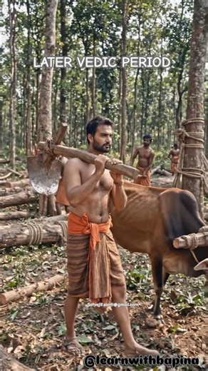 Later vedic period #ancienthistory #vedicage #aryans