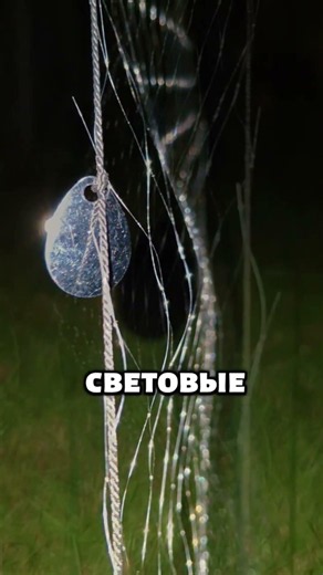 Fishing net with spinners for perch | An unusual experiment