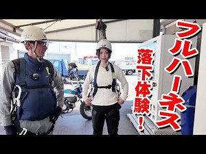 [Fall arrest equipment] Learn how to use a full harness correctly with Ruri-chan! [Special training]