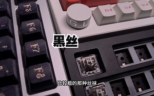 我以为雨75的阳极已经够勇猛了，这是谁的部将？