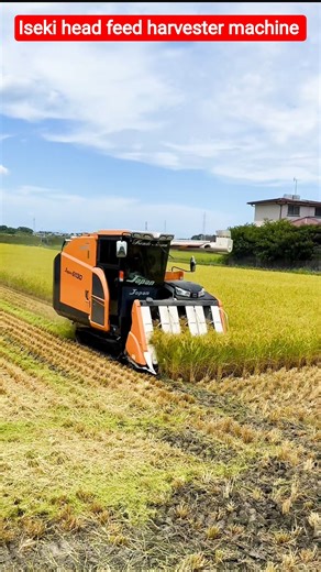 Iseki head feed harvester machine 🌾 #shorts #trending
