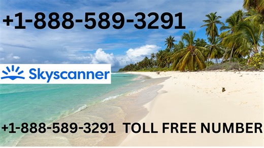 Skyscanner™ Customer Service Official Guide -- Step-by-Step Help & Support & Service for Skyscanner™