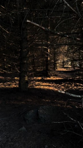 Охота на гномов: увлекательное приключение