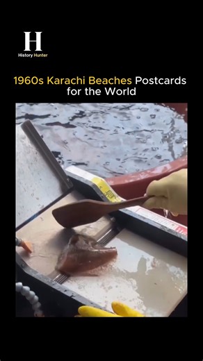 The History Hunter on Instagram: "An automatic fish descaler makes fish preparation fast, hygienic, and efficient. ⚙️ How it works: Mechanical motion + water pressure or friction removes scales without harming the fish skin. Fish move through rotating drums, brushes, or rollers, while high-pressure water flushes away the scales. Conveyor or cradle keeps the fish steady, and loosened scales are collected separately to avoid mess. Modern machines adjust speed and pressure based on fish size, ensur