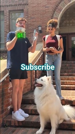 #challenge #funny #mrbeast