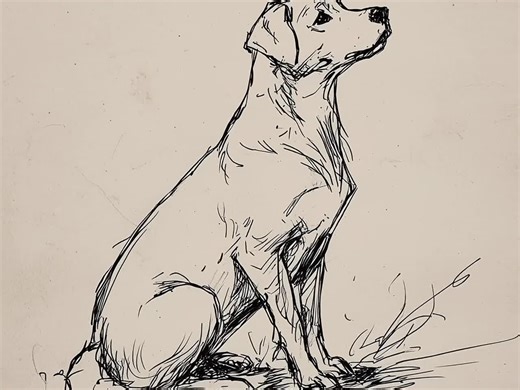 Labrador Retriever Sketch Print: Rustic Vintage Style Dog Art (digital Download) - Etsy
