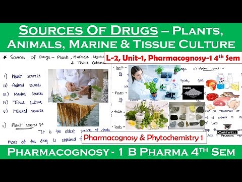 Sources of Drugs - Plants, Animals, Marines & Tissue culture | L-2, U-1 | pharmacognosy 4th semester
