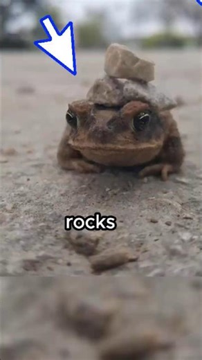 Incredible Rare Photos That Show the Hidden Stories Behind Everyday Scenes | 233