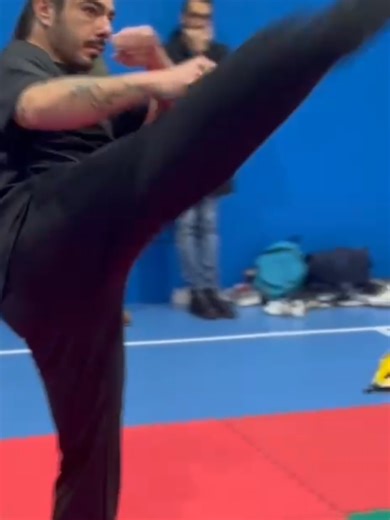 Taekwondo Exhibition: A Showcase of Skills