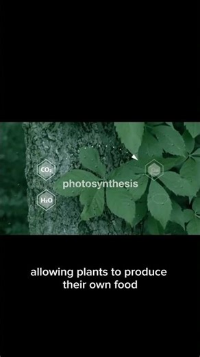 General Characteristics | Basic Structure and Functions