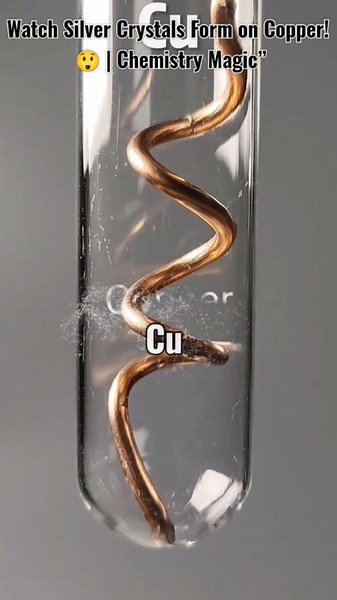 Copper Turns Silver in Seconds! ✨ |Copper + Silver Nitrate | Single Displacement Reaction | CWB