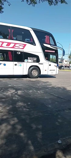 colega de flecha en el cruce varela