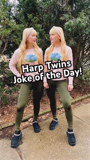 Harp Twins Joke of the Day! 🤣🥊🤣🥊 #jokeoftheday #jokes #dadjokes #joke #identicaltwins