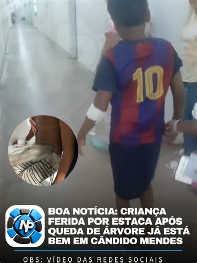 Criança recupera após queda de árvore em Cândido Mendes