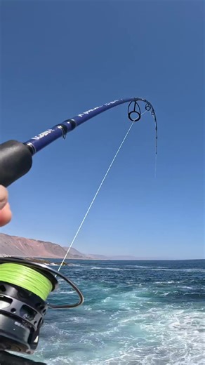 Pesca exitosa en playas de Iquique con chispa