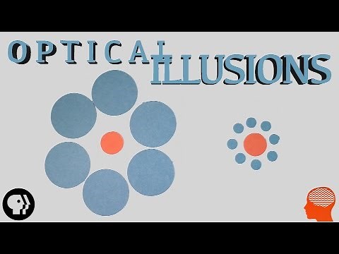 Can You See These Optical Illusions?