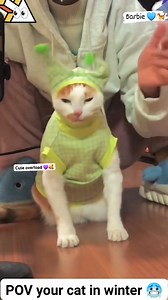 178K views · 6.2K reactions | Cat during winter it's more cute 殺 The way how they're dress up and go out to play with the snow ️❄️ #winterseason #winter #animals #snow #catlovers #barbie #kitten | Barbie Nathazha | Facebook