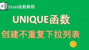 UNIQUE FILTER函数：菜单去重技巧
