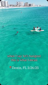 4.7K views · 7.7K reactions | This is your sign to book a dolphin adventure cruise on Ohana Time this Spring Break! #destin #springbreak2025 #visitflorida #vacationtips | Destin Crab Island Adventures | Facebook