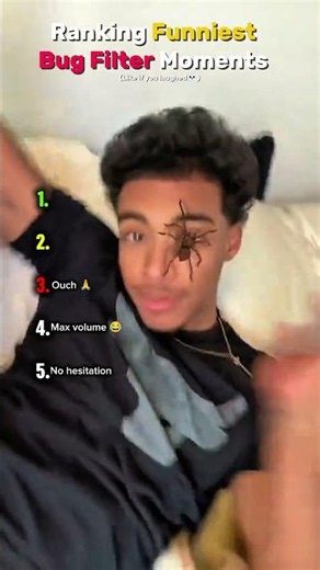 Ranking Funniest Bug Filter Moments