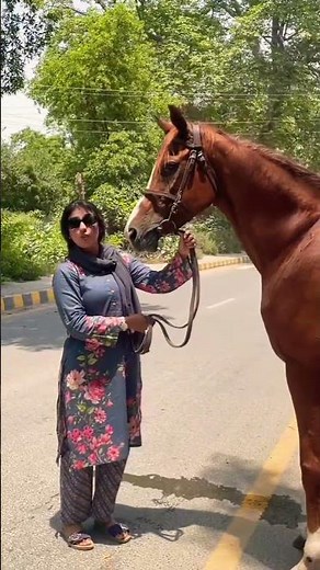 Girl Standing with Her Horse on the Roadside 🐎❤️#GirlPower
