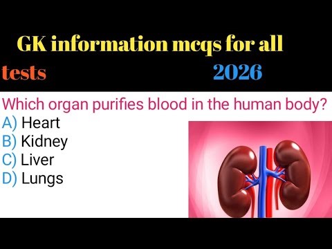 PST, CT, TT, AT, SST Test Preparation | Most Important General Knowledge Questions