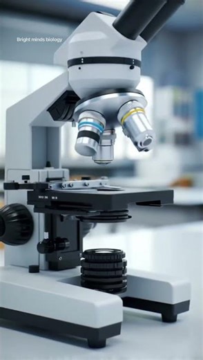 Frog Under Microscope 🔬 | Tiny Cells Revealed #ScienceShorts #Biology #shorts