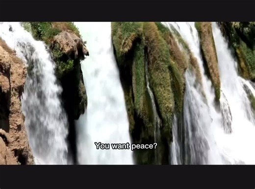 ‘Fit Like’ Primal Wealth on TikTok