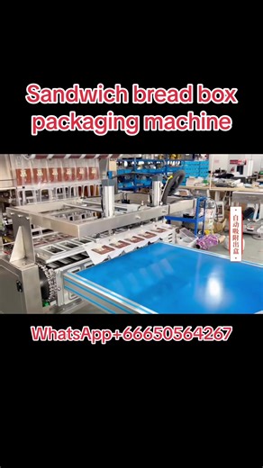 Sandwich bread box packaging machine