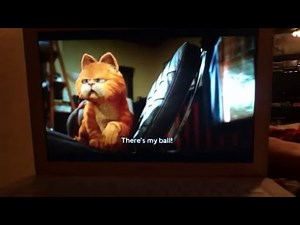 A mouse in the house who runs away and gets eaten