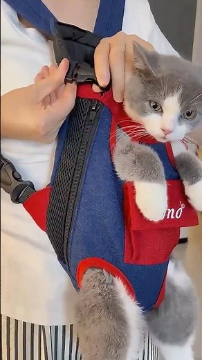 Cutest Pet Backpack for Dogs & Cats! 👜 #dhgate #dhgatefinds #shorts