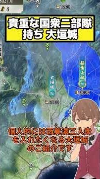 Ogaki Castle: Mino's Next Powerhouse with Two Local Lord Units [Nobunaga's Ambition: Awakening PK]
